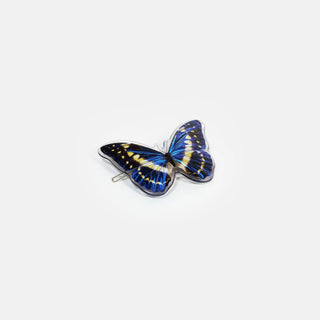 Clip in Helena Butterfly